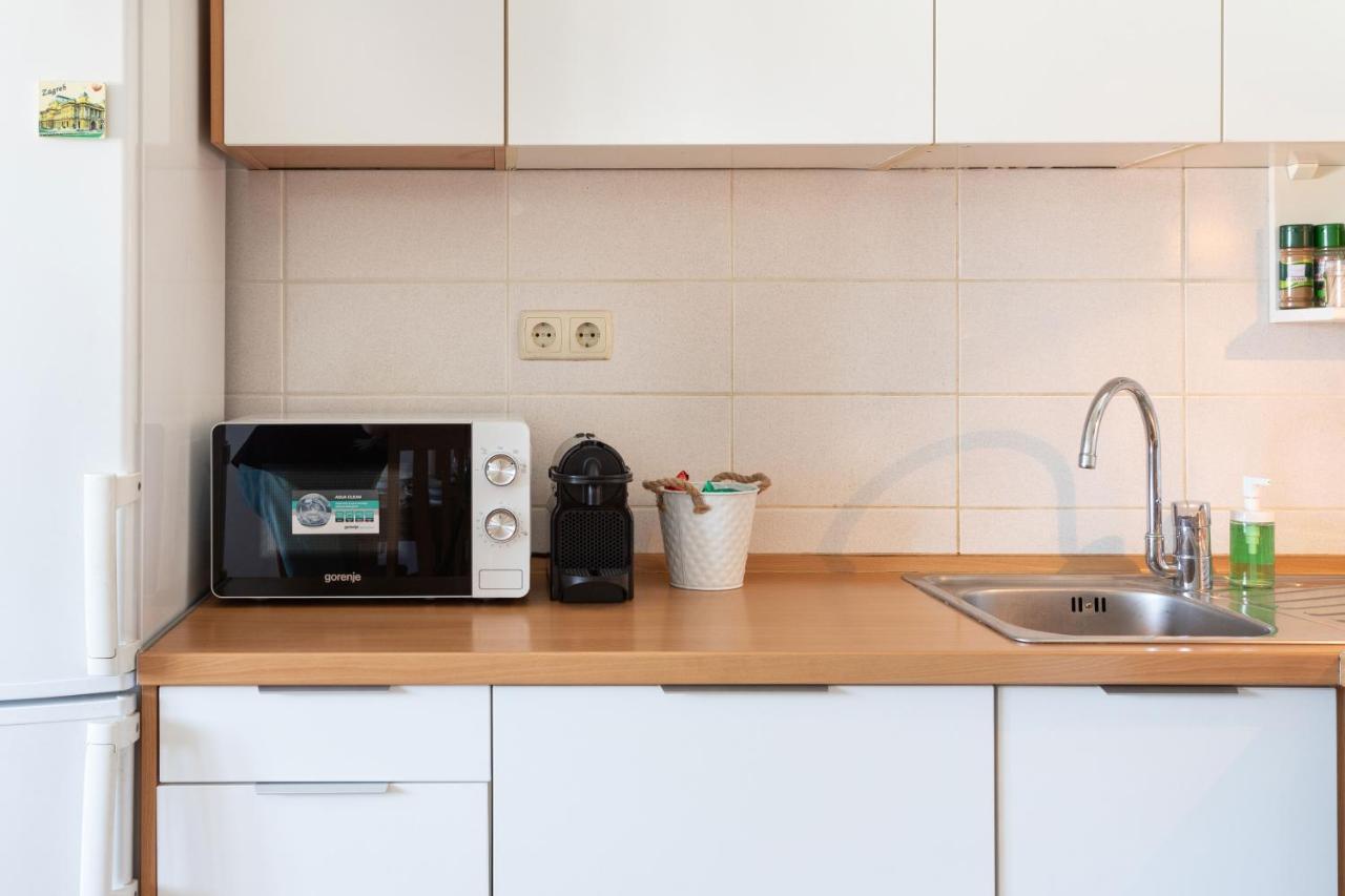 Spacious 2Bdr Apartment With A Cute Balcony ザグレブ エクステリア 写真